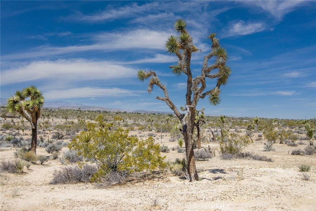 MLS #JT25088570 image #32