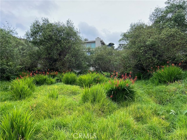 Detail Gallery Image 3 of 13 For 0 Madison St, Cambria,  CA 93428 - – Beds | – Baths