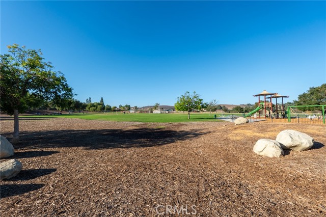 1485 Sappanwood photo 31