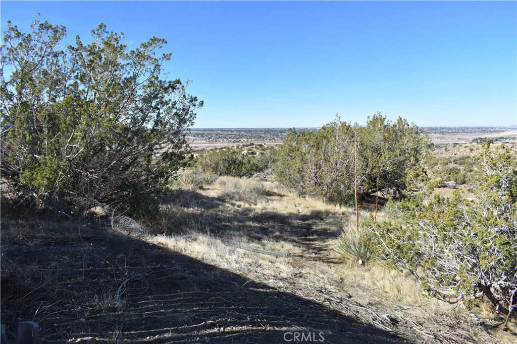 MLS #PW25268902 image #6