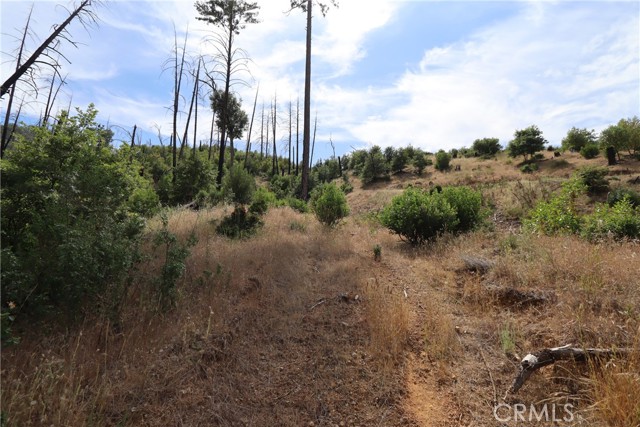 11231 Anderson Springs Road, Middletown, California 95461, ,Land,For Sale,11231 Anderson Springs Road,CRLC23106837