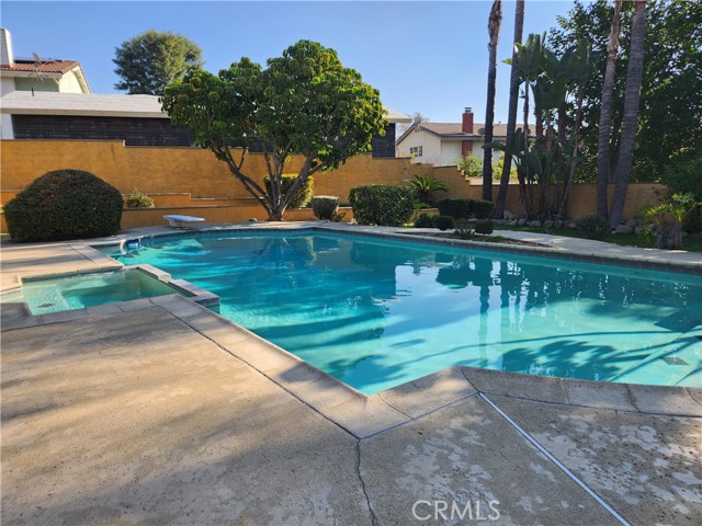 Swimming pool with Jacuzzi