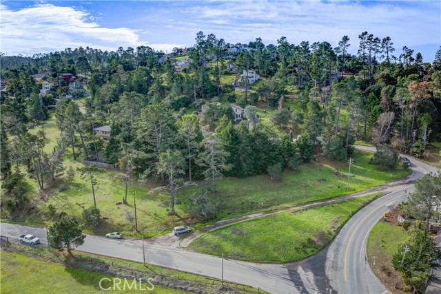 1981 Green Street, Cambria, California 93428, ,Land,For Sale,1981 Green Street,CRSC24001286