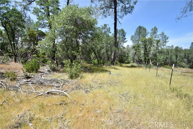 0 Mackey Court, Oroville CA: https://media.crmls.org/medias/c868e011-b244-46ce-92f2-b393c1b52098.jpg