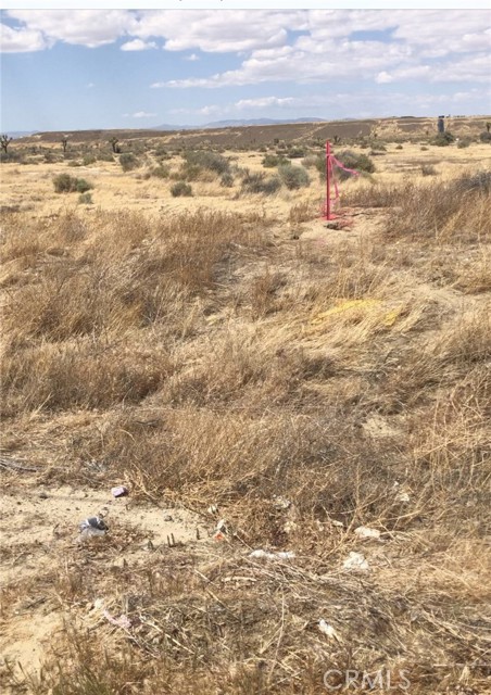 Front Image Thumbnail for CRPW26029644