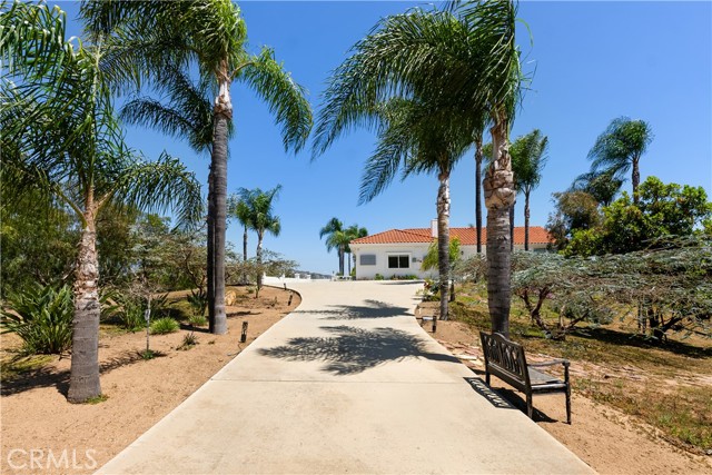 Detail Gallery Image 49 of 52 For 3610 Monserate Hill Ct, Fallbrook,  CA 92028 - 4 Beds | 3/1 Baths
