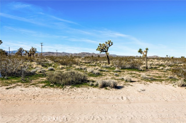 Detail Gallery Image 6 of 26 For 55725 Napa, Landers,  CA 92285 - – Beds | – Baths