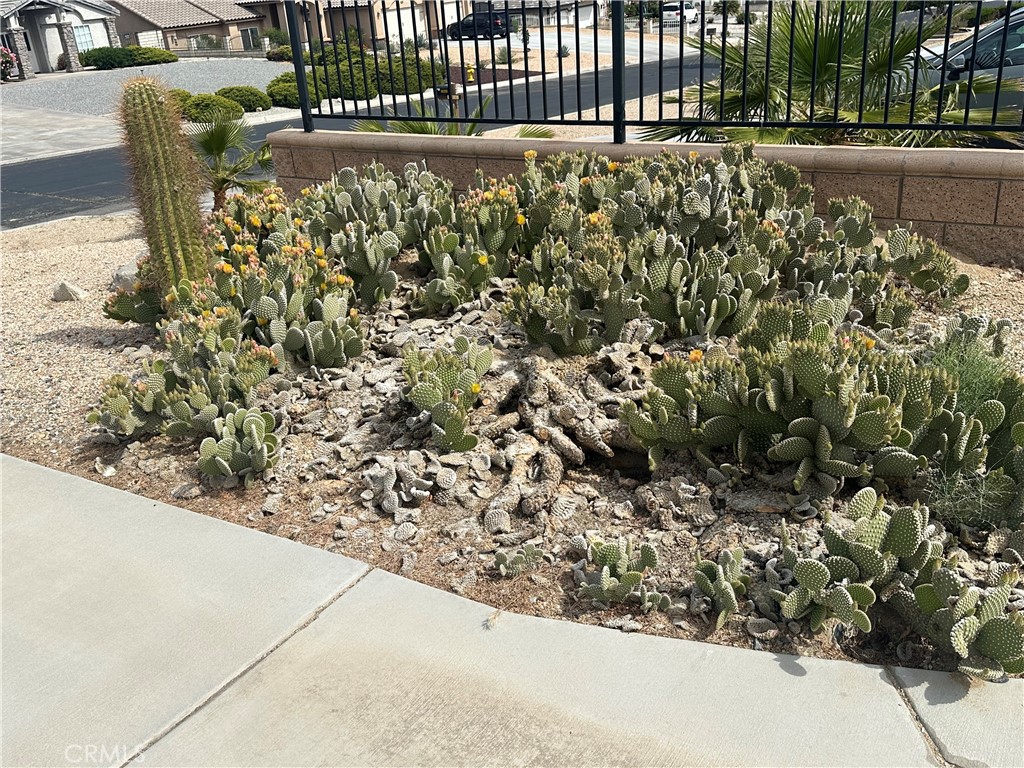 https://media.crmls.org/medias/c878d559-3168-4194-aa6e-0224999b8e13.jpg?preset=X-Large