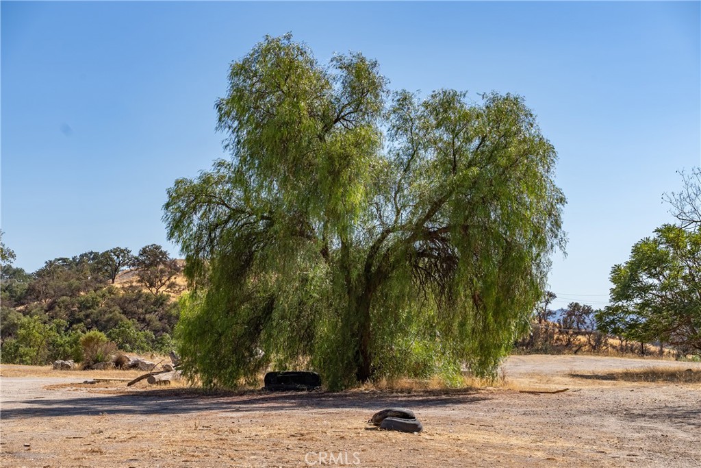 MLS #NS21234433 image #6