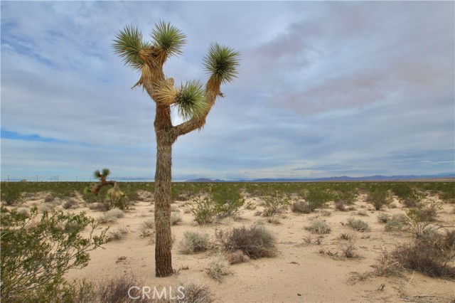 Detail Gallery Image 10 of 11 For 0 Starlight Rd, Joshua Tree,  CA 92252 - – Beds | – Baths