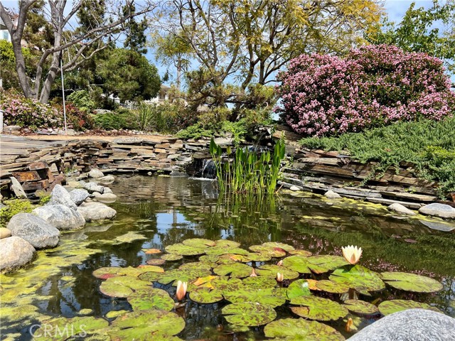 31561 Peppertree, San Juan Capistrano CA: https://media.crmls.org/medias/c880cf90-48b2-40f6-951e-c12eaeeed733.jpg