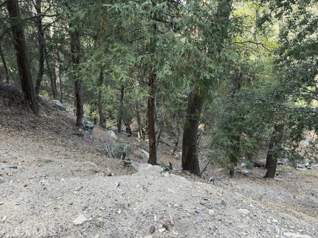 Detail Gallery Image 6 of 16 For 0 Mojave River Rd, Cedarpines Park,  CA 92322 - – Beds | – Baths