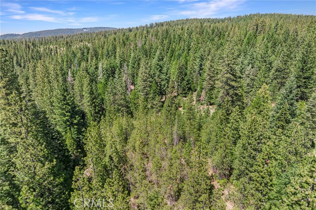 18727 Skyway, Stirling City CA: https://media.crmls.org/medias/c884da7a-dc70-4991-9a12-810aad984e2e.jpg