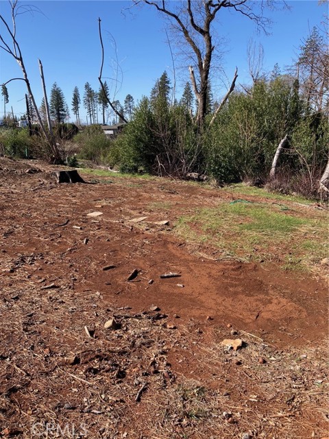 1032 Pearson Road, Paradise CA: https://media.crmls.org/medias/c88e2435-2659-4a28-a1bd-79a41dd380bc.jpg