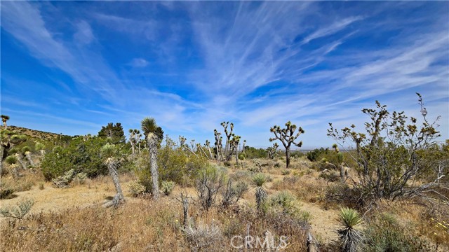 Detail Gallery Image 23 of 49 For 0 103rd St East Vicinity W14, –,  CA 93543 - – Beds | – Baths