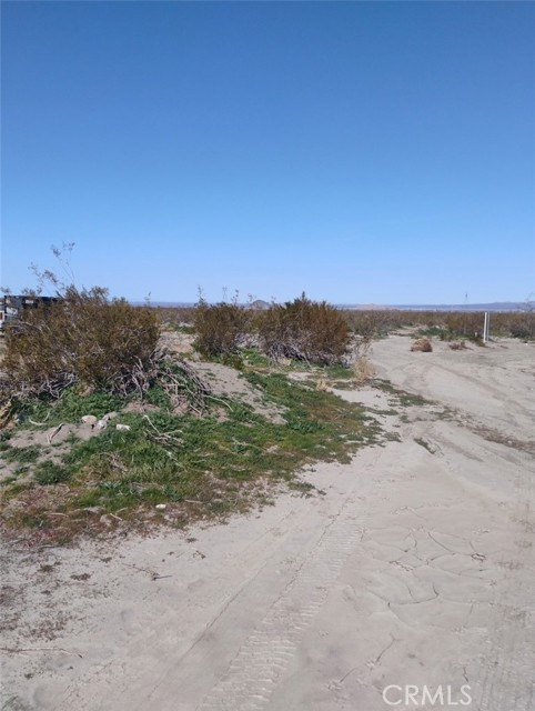 Detail Gallery Image 2 of 6 For 0 Colorado Rd, Pinon Hills,  CA 92372 - – Beds | – Baths