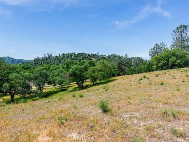 Detail Gallery Image 37 of 62 For 1535 Parkhill Rd, Santa Margarita,  CA 93453 - 3 Beds | 2 Baths