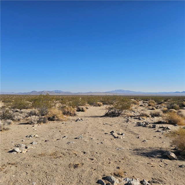 Detail Gallery Image 4 of 6 For 1234 Walker Rd, Johnson Valley,  CA 92285 - – Beds | – Baths