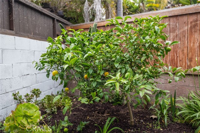 113 Vista Del Parque, Redondo Beach, California 90277, 2 Bedrooms Bedrooms, ,1 BathroomBathrooms,Residential,Sold,Vista Del Parque,SB24098927