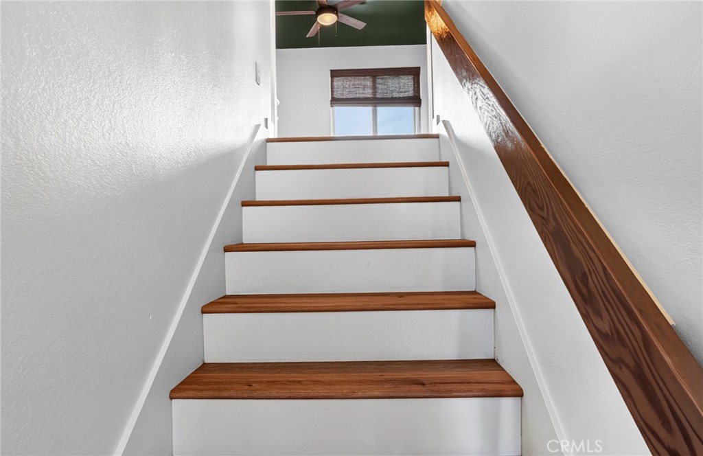 1455 Darwin - photo 17