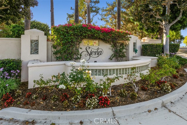 C8a44297 Ce7c 4ec7 B362 C5b55c5a6ad1