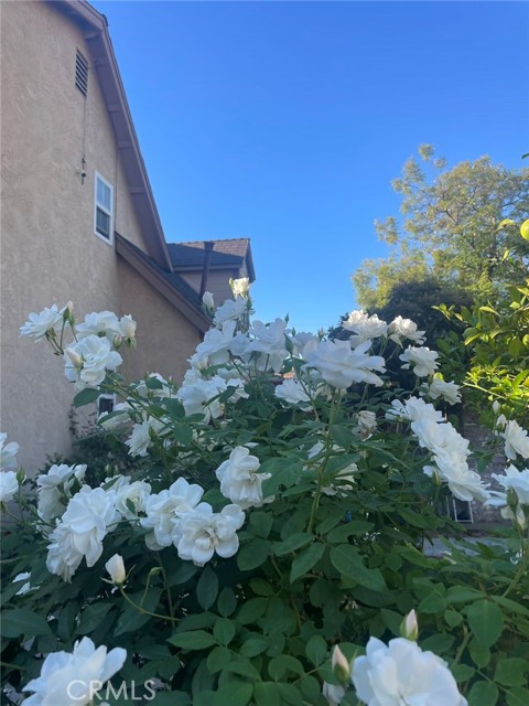 7929 bolton ave, Riverside CA: https://media.crmls.org/medias/c8ad356f-47b9-49f7-bb05-efd86a2d39bd.jpg