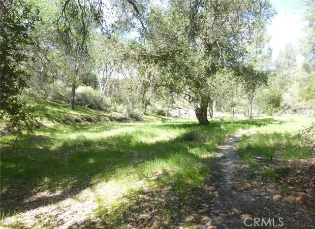 Detail Gallery Image 17 of 37 For 0 0 Vineyard Canyon Parcel 29, San Miguel,  CA 93451 - – Beds | – Baths