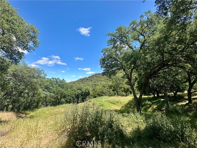 Detail Gallery Image 1 of 11 For 0 Tepusquet Rd, Santa Maria,  CA 93454 - – Beds | – Baths
