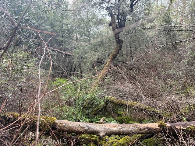 Detail Gallery Image 17 of 20 For 0 Rex Lane, Oroville,  CA 95966 - – Beds | – Baths