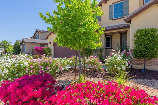Detail Gallery Image 15 of 69 For 29364 Saltbush, Lake Elsinore,  CA 92530 - 5 Beds | 4/1 Baths