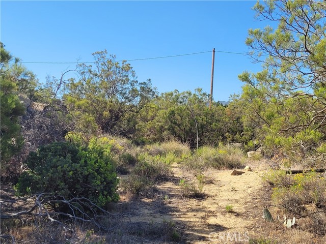 Detail Gallery Image 25 of 30 For 0 Thunder Rd, Anza,  CA 92539 - – Beds | – Baths