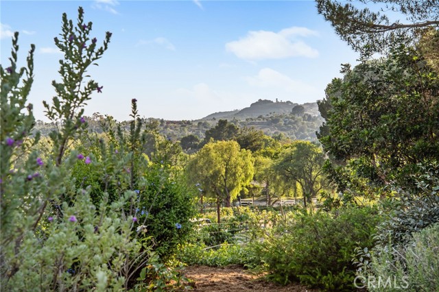 4 Golden Meadow Lane, Fallbrook CA: https://media.crmls.org/medias/c8d3b577-d1e8-4c0e-a04b-0134ef69c9a9.jpg