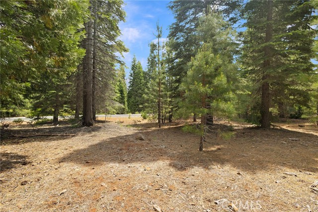 Detail Gallery Image 5 of 31 For 208 Blue Fox Dr, Lake Almanor,  CA 96137 - – Beds | – Baths