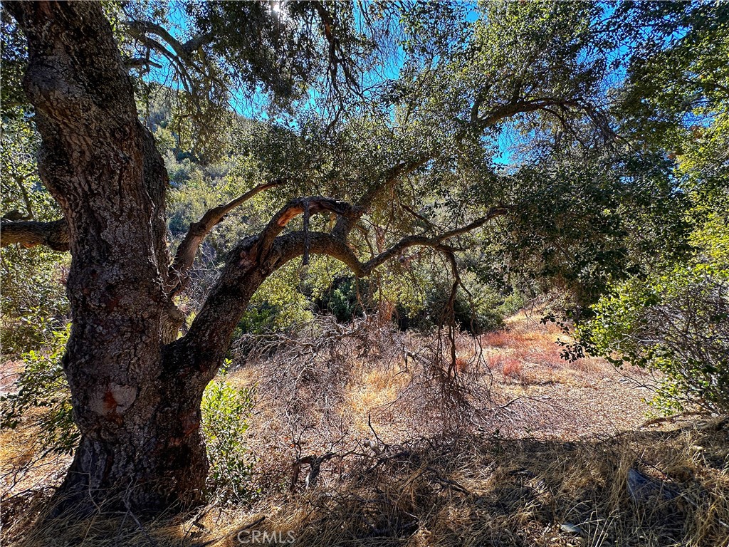 https://media.crmls.org/medias/c8d669f5-feea-426c-8636-89db8d443386.jpg?preset=X-Large