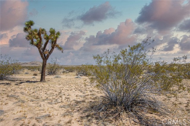 Detail Gallery Image 4 of 19 For 4444 Saddleback Dr, Joshua Tree,  CA 92252 - – Beds | – Baths