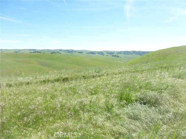 Detail Gallery Image 22 of 51 For 0 Douglas Rd. (Lot 33), San Miguel,  CA 93451 - – Beds | – Baths