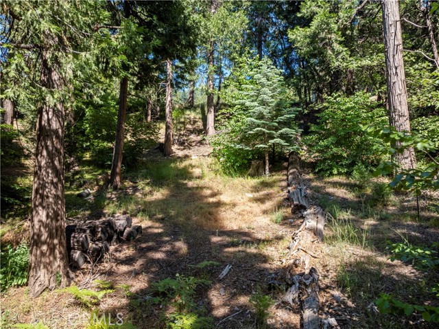 356 Ca-173, Lake Arrowhead CA: https://media.crmls.org/medias/c8e2dae4-bb32-4289-9c4a-546f830816e6.jpg