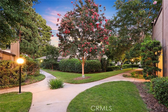495 W WALNUT Street, Pasadena CA: https://media.crmls.org/medias/c8e423f7-5af2-417b-b810-c461d7d733ac.jpg