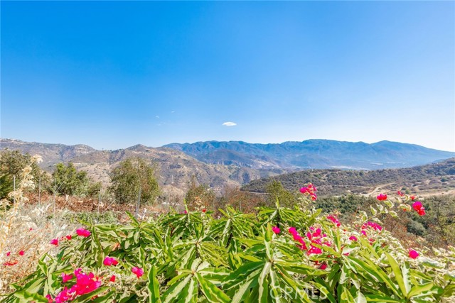 Detail Gallery Image 49 of 74 For 305 Rainbow Crest Rd, Fallbrook,  CA 92028 - 4 Beds | 3 Baths