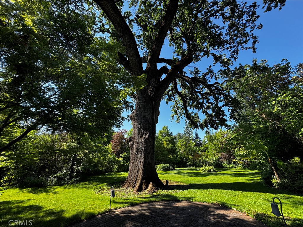 https://media.crmls.org/medias/c8eb975f-ab93-492b-90c2-08d469d5ea47.jpg?preset=X-Large