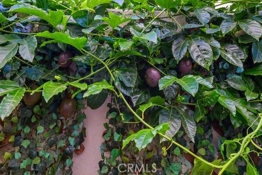 Detail Gallery Image 15 of 37 For 165 Frame, Irvine,  CA 92618 - 4 Beds | 3/1 Baths