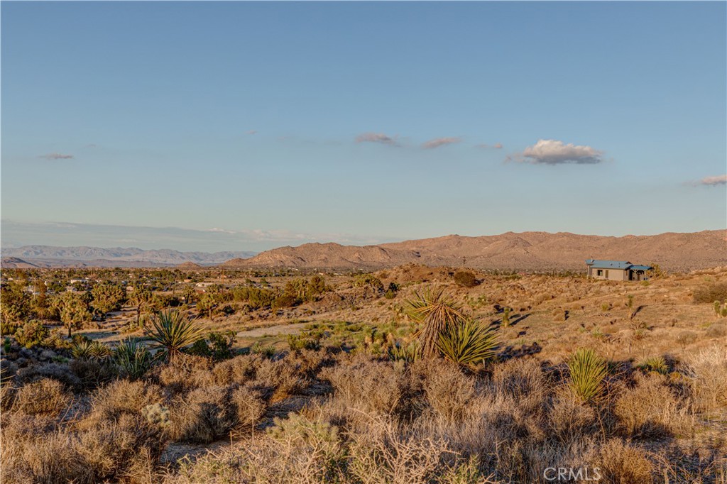 MLS #JT25229239 image #37