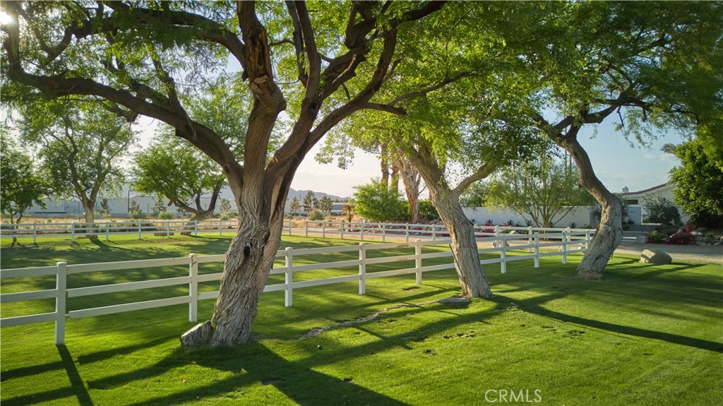 MLS #JT25114859 image #4