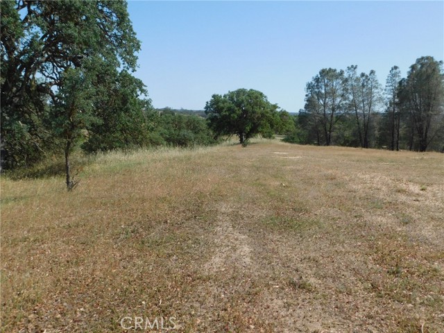 Detail Gallery Image 71 of 71 For 6675 Webster Rd, Creston,  CA 93432 - – Beds | – Baths