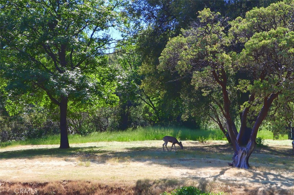 C8F1D705 A179 4F27 Ad2A 2A2806223Dbd 5192 Oak Road, Mariposa, Ca 95345 &Lt;Span Style='BackgroundColor:transparent;Padding:0Px;'&Gt; &Lt;Small&Gt; &Lt;I&Gt; &Lt;/I&Gt; &Lt;/Small&Gt;&Lt;/Span&Gt;