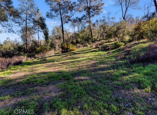 Detail Gallery Image 7 of 18 For 3522 Filmore Ave, Clearlake,  CA 95422 - – Beds | – Baths