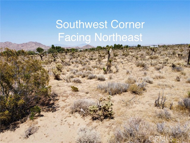 Detail Gallery Image 21 of 30 For 4510933 Ivanhoe Rd, Lucerne Valley,  CA 92356 - – Beds | – Baths
