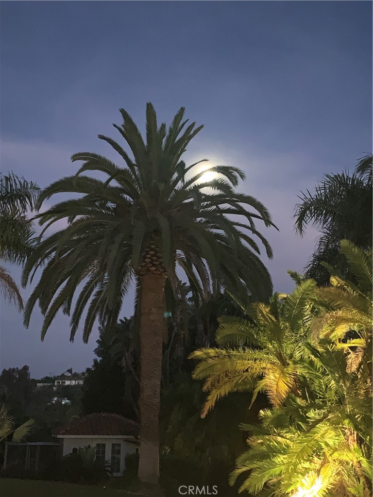 https://media.crmls.org/medias/c8fe383a-7f22-4910-b197-05132303e888.jpg?preset=X-Large