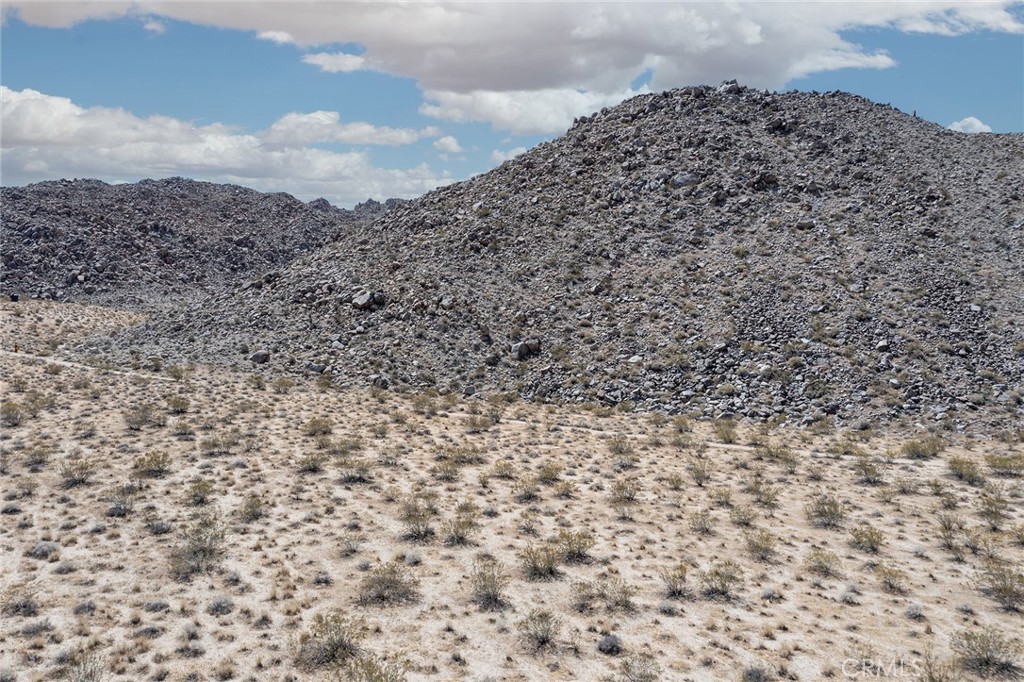 MLS #JT24094360 image #9