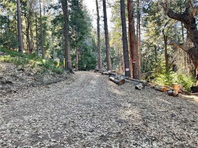 Detail Gallery Image 31 of 31 For 0 Fernland Dr, Idyllwild,  CA 92549 - – Beds | – Baths